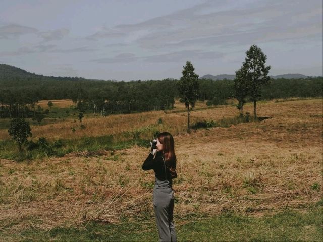 เขาค้อ อีส คอลลิ่ง