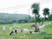 สระบุรี-โคราช-นครนายก