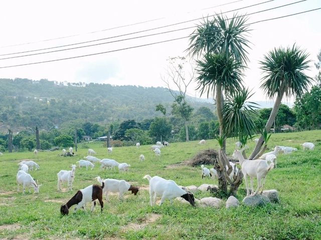 สระบุรี-โคราช-นครนายก