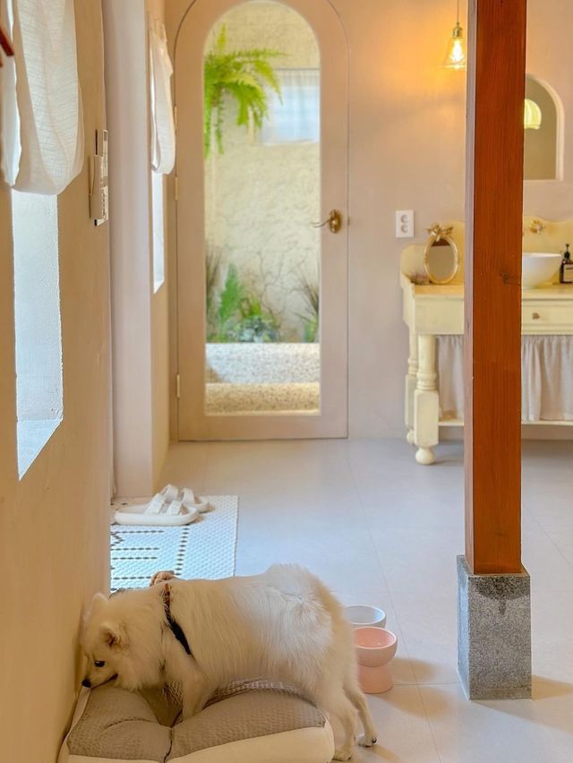 전주에 새롭게 오픈한 신상숙소, 오늘의 우리 집🏡 