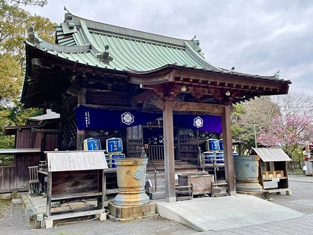 【静岡県/御穂神社】松の参道が印象的な神社