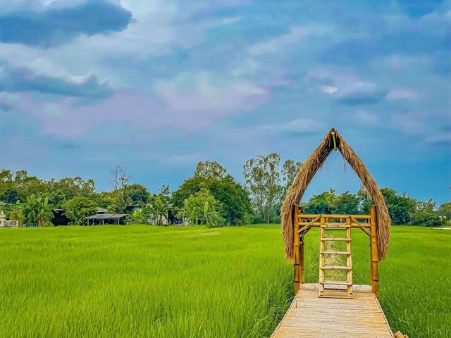 คลังนาปลาข้าว ✨ พานทอง จ.ชลบุรี