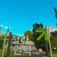 이국적인 단풍 뷰를 구경할 수 있는 대구 여행지 🍁