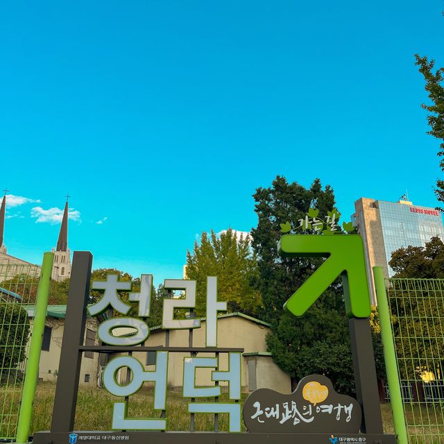 이국적인 단풍 뷰를 구경할 수 있는 대구 여행지 🍁