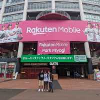 Experience Baseball in Japan 