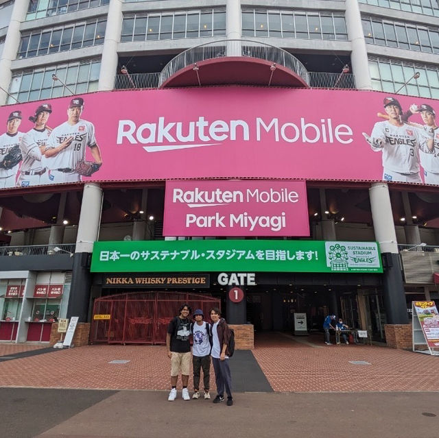 Experience Baseball in Japan 