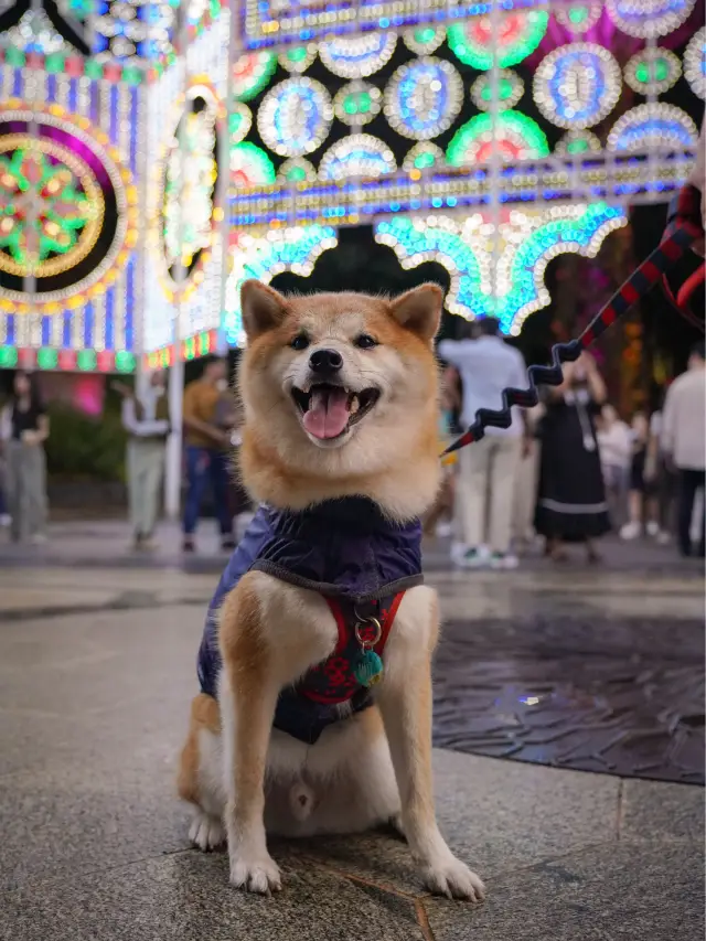 Have a wonderful Christmas at GBTB!