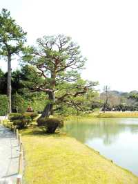 A day in Kyoto: Byōdō-in & Fushimi Inari