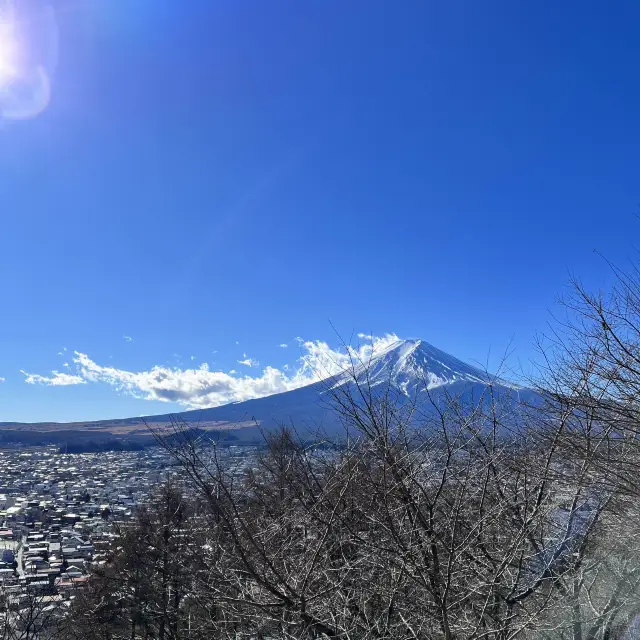 Fujisan & ueno park 