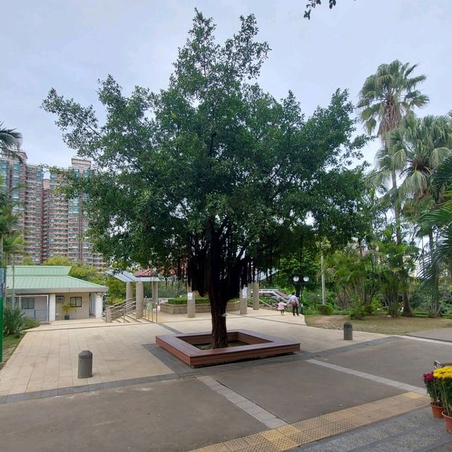 元朗公園悠閒好去處