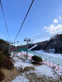 홍천 비발디파크에서 스키 즐기기!⛷️