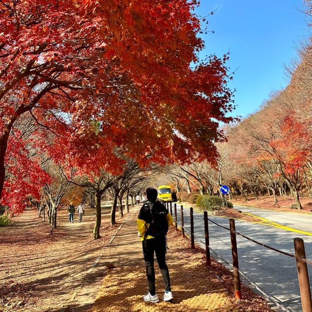 The most beautiful autumn place in korea . 