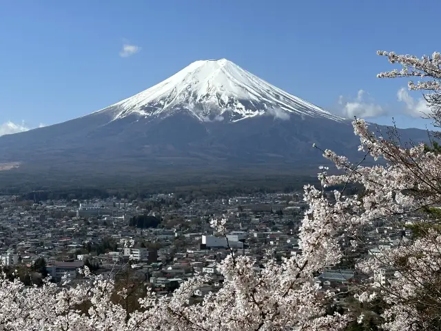 Fuji Ice cream 