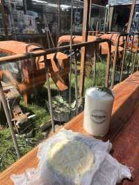 韓国/ソウル【益善洞】牧場をイメージした世界観がとってもかわいいカフェ🐄🧀