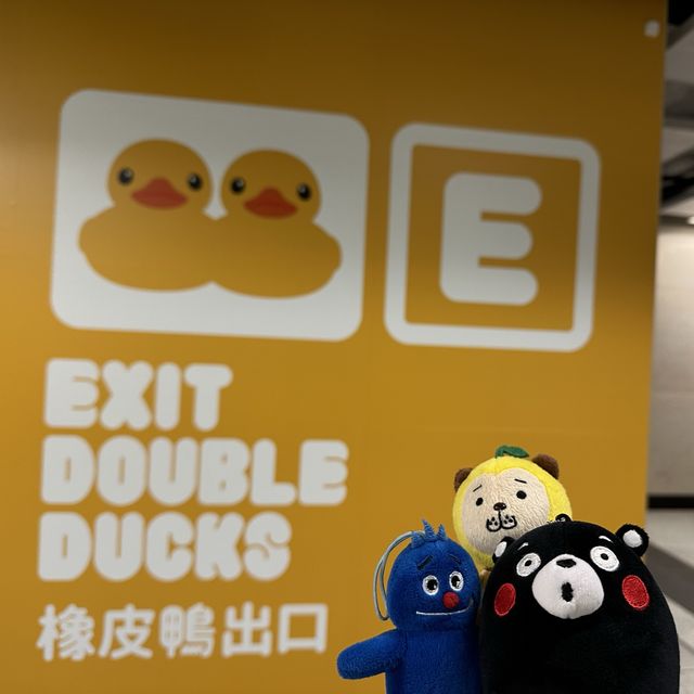 四遇鴨鴨Rubber Duck🤣