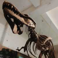 The Geological Museum of Bandung