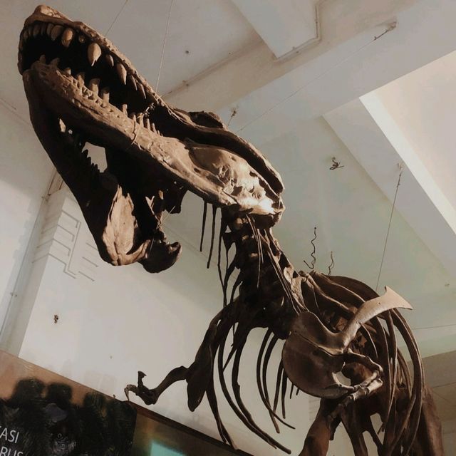 The Geological Museum of Bandung