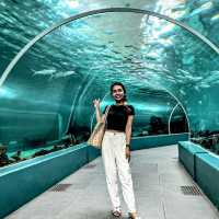 Ocean Park Experience in Cebu!