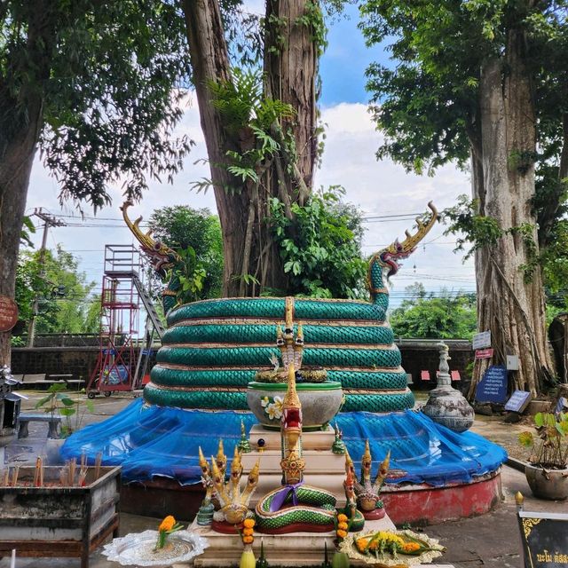 วัดมรุกขนคร