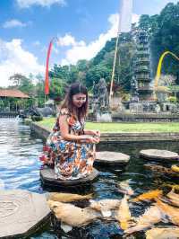 Visiting Balinese Water Palace, Tirta Gangga
