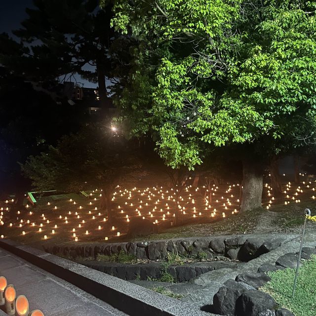 오사카 근교 나라공원 등불축제 🕯️
