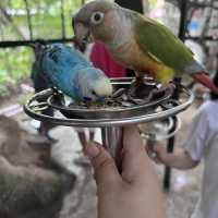 適合一家大細的深圳動物園