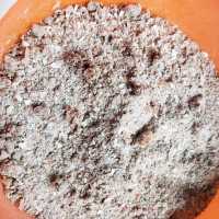 可愛い彼女とラブラブ旅行