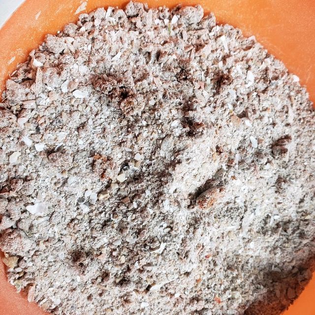 可愛い彼女とラブラブ旅行 可愛い彼女とラブラブ旅行