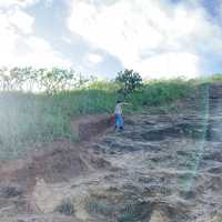 【Hawaii】ラニカイピルボックスでハイキング