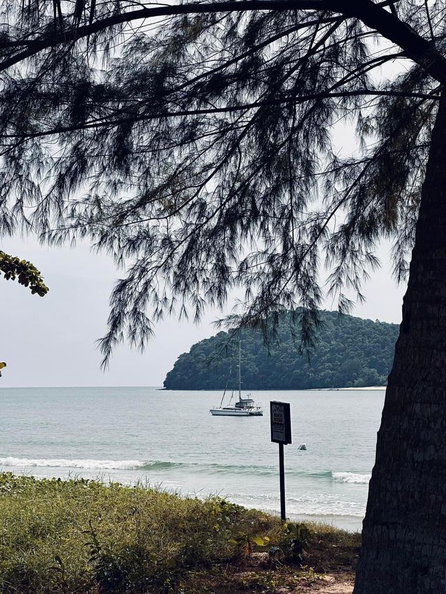 Hidden Gem in Langkawi ✨