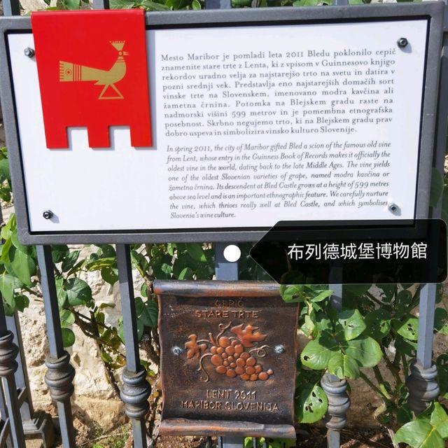 布列德城堡博物館