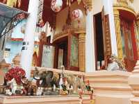 Wat Pa Pradu