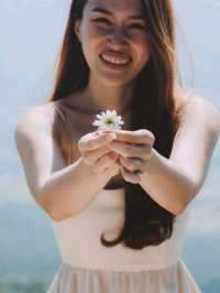 เมื่อร่างกายต้องการน้ำตาล ของหวานจะเยียวยาทุกอย่างเอง
