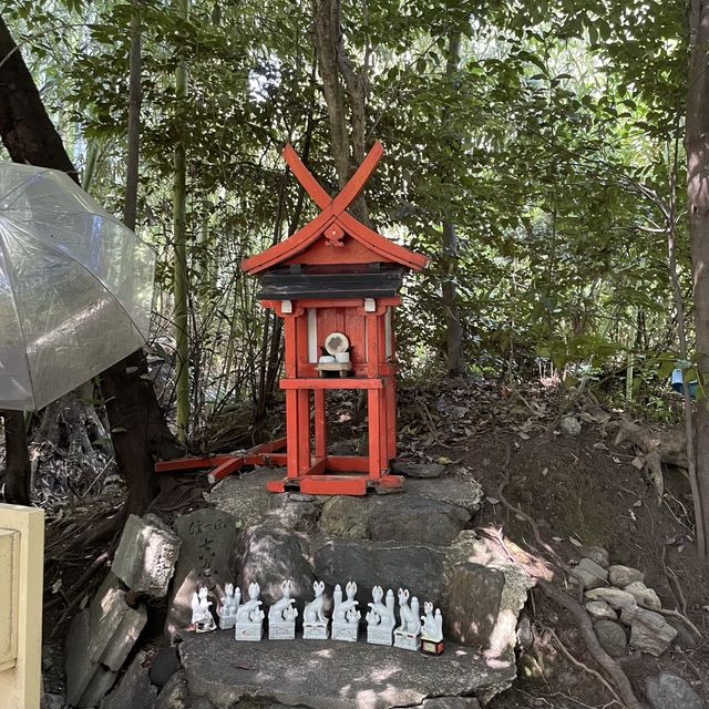 【京都府】美しい緑の絨毯、じゅうたん苔！