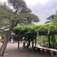 寶登山神社⛩️