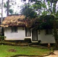 The Resort in the middle of the Jungle