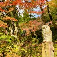 Hyakusaiji: Autumn Tranquility Unveiled