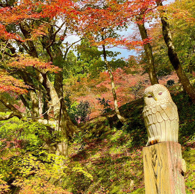 Hyakusaiji: Autumn Tranquility Unveiled