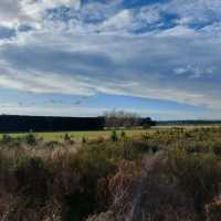 Scenic train ride