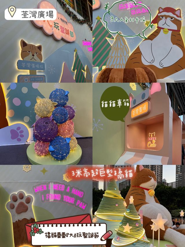 各主子注意⚠️聖誕節🎄必去荃灣廣場🥰橘貓重重可愛😻打卡位
