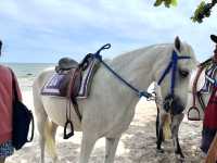 เยือนหัวหิน ถิ่นมีหอย Hua-Hin