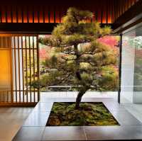 京都麗思卡爾頓：口碑超讚，現代奢華與日式傳統完美融合