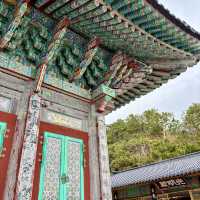 【韓国釜山・機張】釜山のパワースポット！願いを叶えたいなら「해동용궁사（海東龍宮寺）」