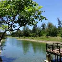 絕美密境~台東森林公園琵琶湖
