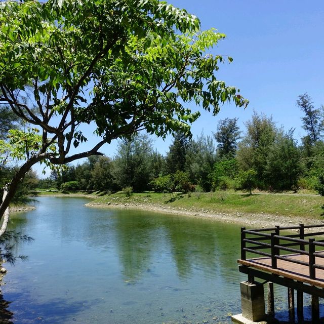 絕美密境~台東森林公園琵琶湖