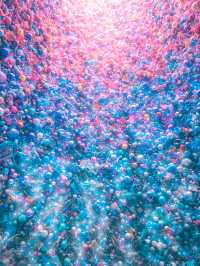 海のなかで宝石箱を開けたような世界観(千葉県木更津市)💎