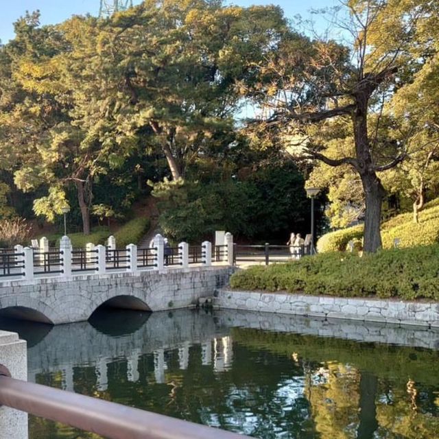 🏯 마쓰야마시의 전경을 한눈에 구경할 수 있는 마쓰야마성💙
