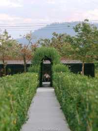 Bliss & Bloom Cafe ทับลาน