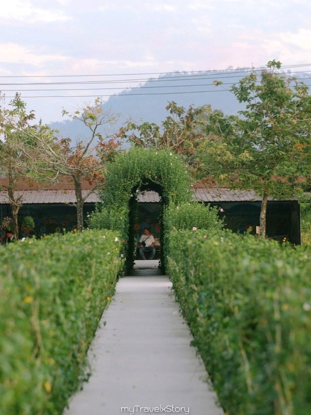Bliss & Bloom Cafe ทับลาน