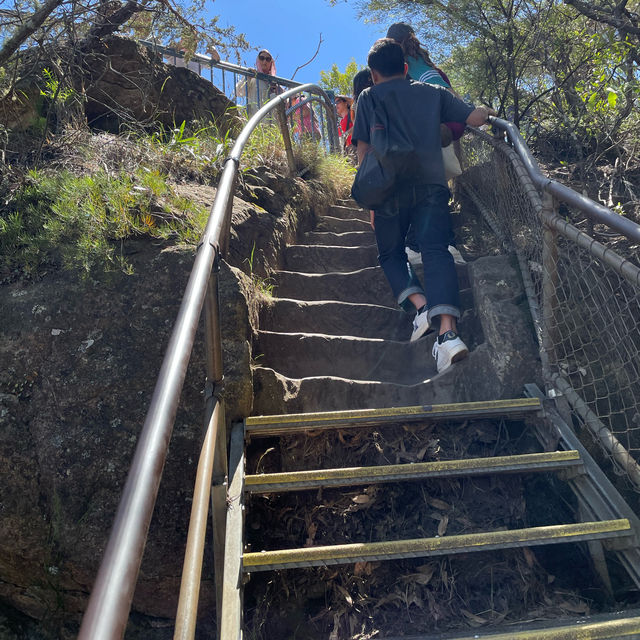 【シドニー観光】必ず抑えたいスポット「ブルーマウンテンズ」🇦🇺 【シドニー観光】必ず抑えたいスポット「ブルーマウンテンズ」🇦🇺